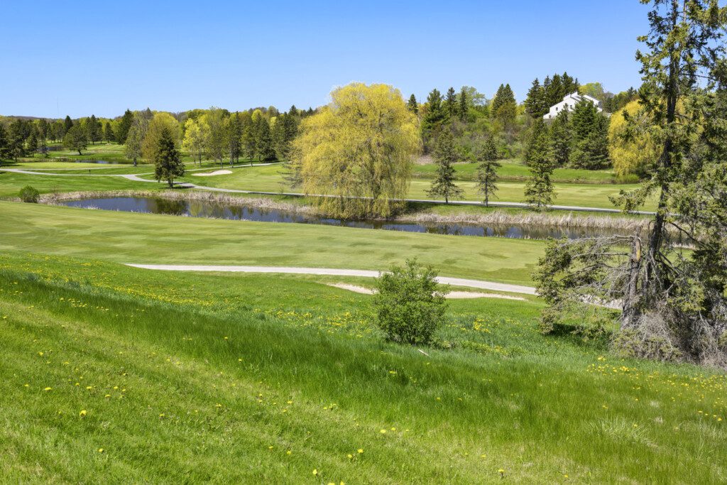 74299 379272 xLXmiKIcVNkzOOE7eIBJWwSimmj8 2rLGvioRZ4mpts 68236d30caa55.jpg